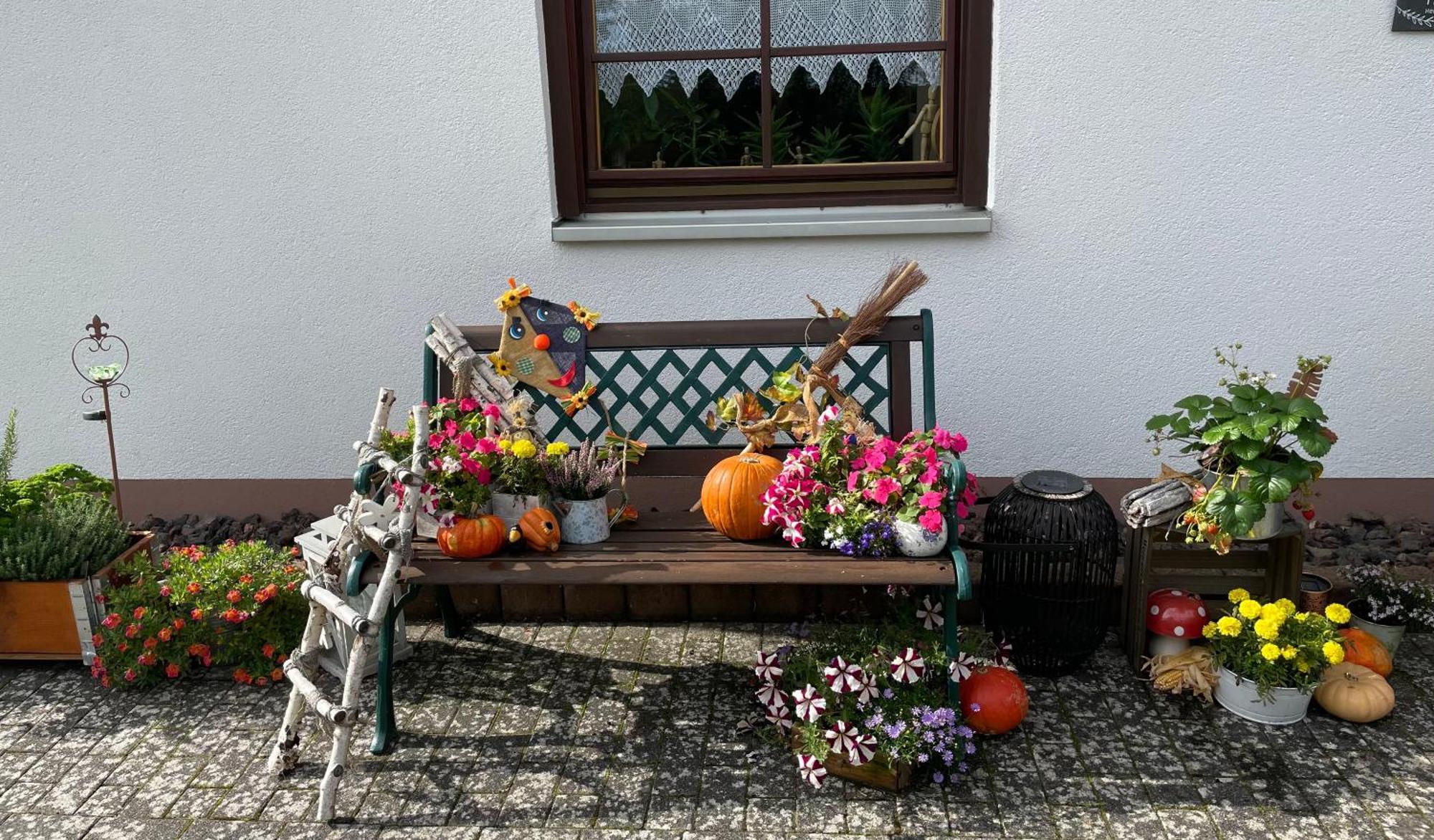 Ferienwohnung In Der Vulkaneifel "Opp Der Holl" Brockscheid 외부 사진
