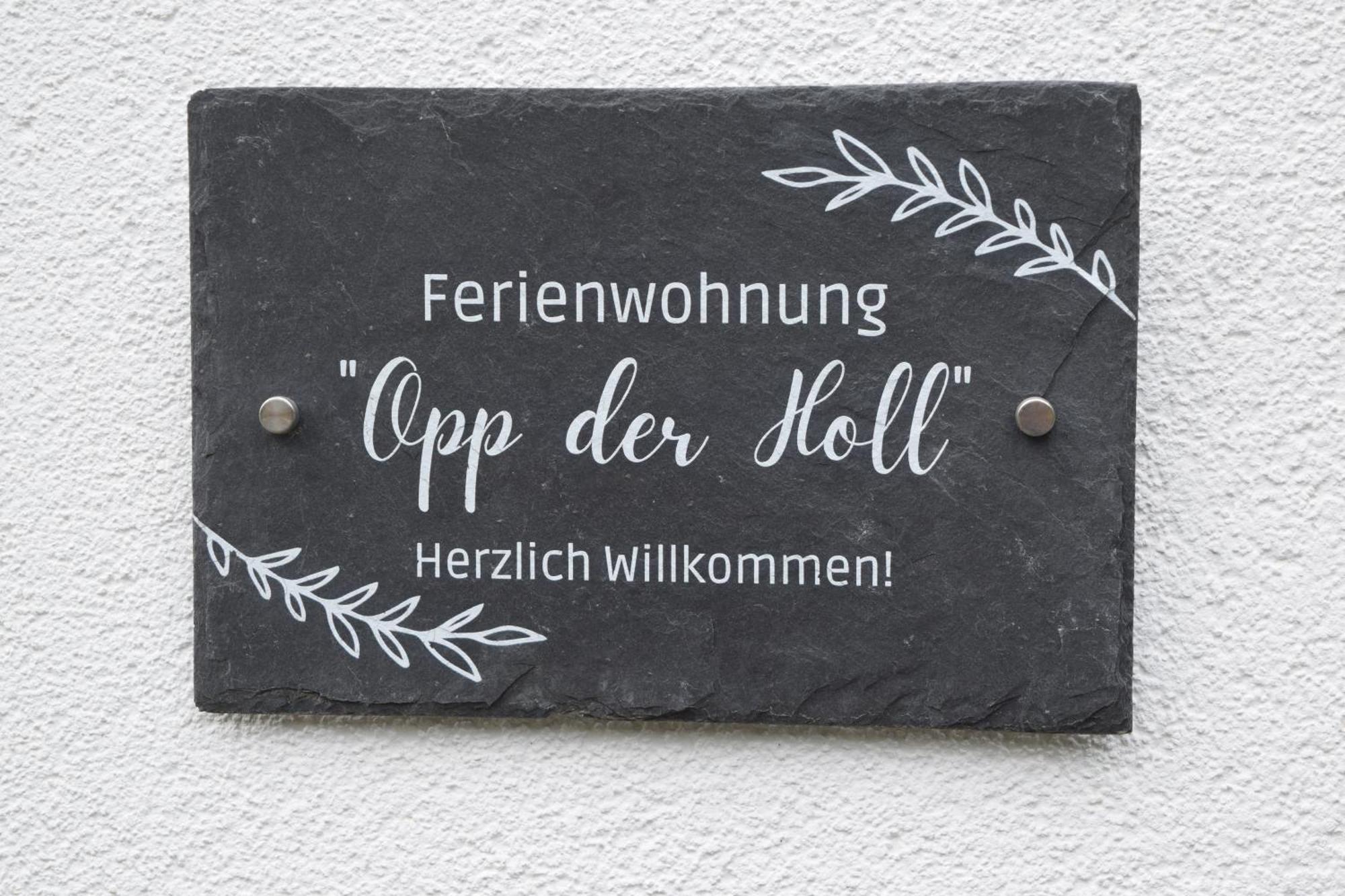 Ferienwohnung In Der Vulkaneifel "Opp Der Holl" Brockscheid 외부 사진